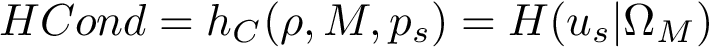 $ HCond=h_{C}(\rho,M,p_s)=H(u_s|\Omega_M)$