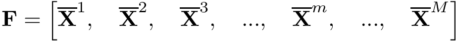 \[ \mathbf{F}=\left[ \overline{\mathbf{X}}^{1},\quad \overline{\mathbf{X}}^{2}, \quad \overline{\mathbf{X}}^{3}, \quad ...,\quad \overline{\mathbf{X}}^{m}, \quad ...,\quad \overline{\mathbf{X}}^{M} \right] \]