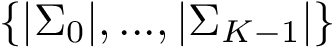 $\{|\Sigma_0|, ...,|\Sigma_{K-1}|\}$