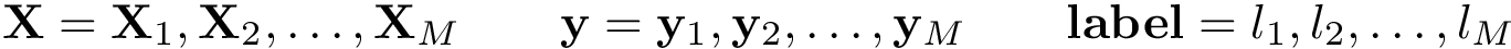 \[ \mathbf{X}=\mathbf{X}_1, \mathbf{X}_2, \dots, \mathbf{X}_M \qquad \mathbf{y}=\mathbf{y}_1, \mathbf{y}_2, \dots, \mathbf{y}_M \qquad \mathbf{label}= l_1, l_2, \dots, l_M \]