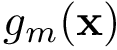 $g_m(\mathbf{x})$