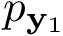 $p_{\mathbf{y}_1}$