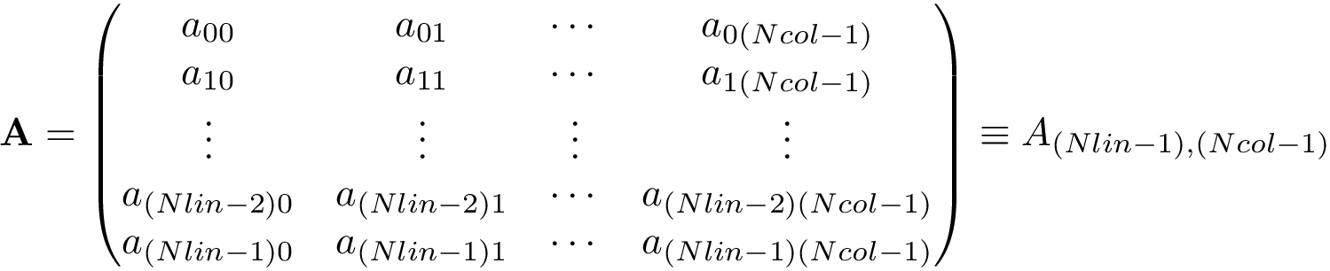 \[ \mathbf{A}=\left(\begin{matrix} a_{00} & a_{01} & \cdots & a_{0(Ncol-1)}\\ a_{10} & a_{11} & \cdots & a_{1(Ncol-1)}\\ \vdots & \vdots & \vdots & \vdots \\ a_{(Nlin-2)0} & a_{(Nlin-2)1} & \cdots & a_{(Nlin-2)(Ncol-1)}\\ a_{(Nlin-1)0} & a_{(Nlin-1)1} & \cdots & a_{(Nlin-1)(Ncol-1)}\\ \end{matrix}\right)\equiv A_{(Nlin-1),(Ncol-1)} \]