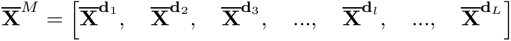 \[ \overline{\mathbf{X}}^{M}=\left[ \mathbf{\overline{X}}^{\mathbf{d}_1},\quad \mathbf{\overline{X}}^{\mathbf{d}_2}, \quad \mathbf{\overline{X}}^{\mathbf{d}_3}, \quad ...,\quad \mathbf{\overline{X}}^{\mathbf{d}_l}, \quad ...,\quad \mathbf{\overline{X}}^{\mathbf{d}_{L}} \right] \]