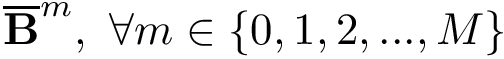 $\overline{\mathbf{B}}^{m},~\forall m \in \{0,1,2,...,M\}$