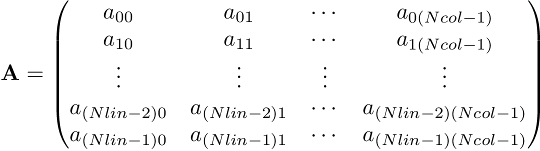 \[ \mathbf{A}=\left(\begin{matrix} a_{00} & a_{01} & \cdots & a_{0(Ncol-1)}\\ a_{10} & a_{11} & \cdots & a_{1(Ncol-1)}\\ \vdots & \vdots & \vdots & \vdots \\ a_{(Nlin-2)0} & a_{(Nlin-2)1} & \cdots & a_{(Nlin-2)(Ncol-1)}\\ a_{(Nlin-1)0} & a_{(Nlin-1)1} & \cdots & a_{(Nlin-1)(Ncol-1)}\\ \end{matrix}\right) \]