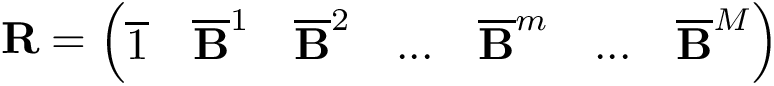 \[ \mathbf{R}=\left(\begin{matrix} \overline{1} & \overline{\mathbf{B}}^{1} & \overline{\mathbf{B}}^{2} & ... & \overline{\mathbf{B}}^{m} & ... & \overline{\mathbf{B}}^{M} \end{matrix}\right) \]