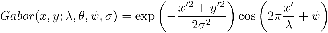 \[
    Gabor(x,y;\lambda,\theta,\psi,\sigma) = 
    \exp\left(-\frac{x'^2+y'^2}{2\sigma^2}\right)\cos\left(2\pi\frac{x'}{\lambda}+\psi\right)
   \]