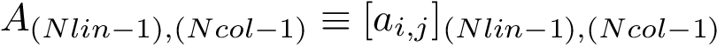 \[
A_{(Nlin-1),(Ncol-1)}\equiv [a_{i,j}]_{(Nlin-1),(Ncol-1)}
   \]