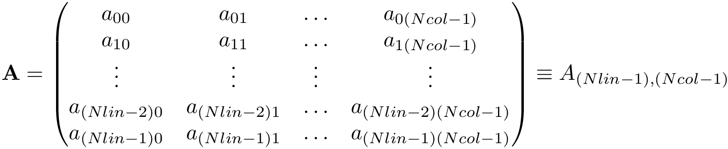 \[ \mathbf{A}=\left(\begin{matrix} a_{00} & a_{01} & \hdots & a_{0(Ncol-1)}\\ a_{10} & a_{11} & \hdots & a_{1(Ncol-1)}\\ \vdots & \vdots & \vdots & \vdots \\ a_{(Nlin-2)0} & a_{(Nlin-2)1} & \hdots & a_{(Nlin-2)(Ncol-1)}\\ a_{(Nlin-1)0} & a_{(Nlin-1)1} & \hdots & a_{(Nlin-1)(Ncol-1)}\\ \end{matrix}\right)\equiv A_{(Nlin-1),(Ncol-1)} \]